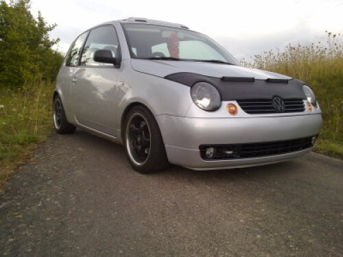 Mein Lupo