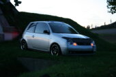 Mein Lupo - Bild 3