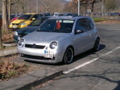 Mein Lupo - Bild 5