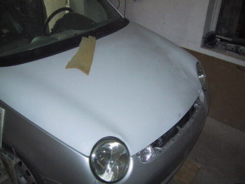 Lupo Motorhaube clean Halbmond geschlossen