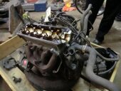 NZ Schlacht-Motor - Bild 2